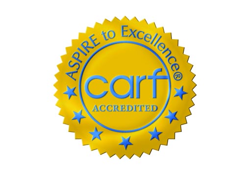 CARF Awards Highest Level Accreditation to Transylvania Vocational Services