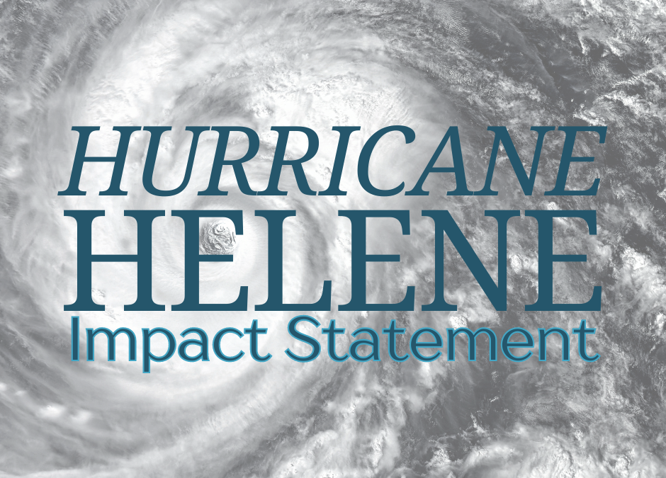 Hurricane Helene Impact Statement